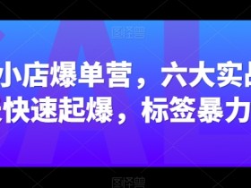 抖音小店爆单营，六大实战篇，7天快速起爆，标签暴力玩法-天天学吧