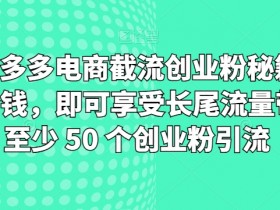 淘宝拼多多电商截流创业粉秘籍，仅需 1 分钱，即可享受长尾流量带来的至少 50 个创业粉引流-天天学吧