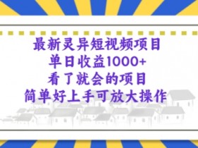 最新灵异短视频项目，看了就会的项目，简单好上手可放大操作-天天学吧