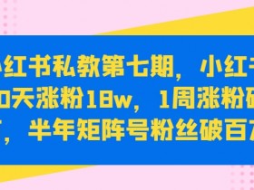 小红书私教第七期，小红书90天涨粉18w，1周涨粉破万，半年矩阵号粉丝破百万-天天学吧