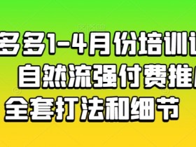 拼多多1-4月份培训课程，自然流强付费推广全套打法和细节-天天学吧