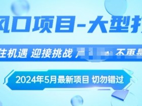 2024年5月最新风口项目，闲鱼卖大型打印机，无货源赚差价模式，小白也可以操作-天天学吧