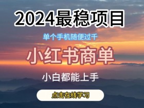 2024最稳蓝海项目，小红书商单项目，没有之一【揭秘】-天天学吧