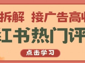 小红书热门评论，变现拆解，接广告高收入【揭秘 】-天天学吧