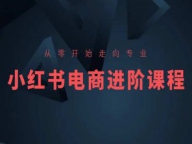 从零开始走向专业，小红书电商进阶课程-天天学吧