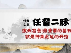 某付费文章《任督 二脉 泼天富贵|最重要的基石 就是神来之笔的开窍|万字》-天天学吧