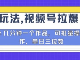 独家玩法，视频号拉爆评论区分成计划，几分钟一个作品，可批量操作-天天学吧