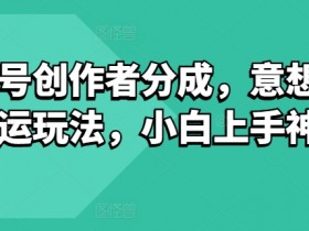 视频号创作者分成，意想不到的搬运玩法，小白上手神项目-天天学吧