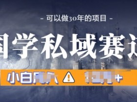 国学掘金计划，长期赛道爆炸裂变引流，小白月入1w+-天天学吧