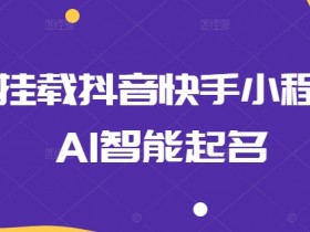 0粉挂载抖音快手小程序，AI智能起名-天天学吧