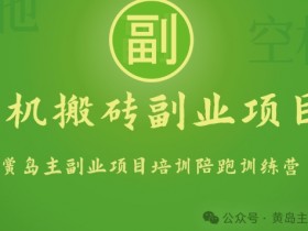 手机搬砖小副业项目训练营1.0，实测1小时收益50+，一部手机轻松日入100+-天天学吧