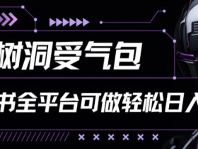 小红书等全平台树洞受气包项目，轻松日入一两张【揭秘】-天天学吧