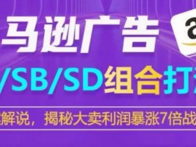 亚马逊SP/SB/SD广告组合打法，揭秘大卖利润暴涨7倍战术-天天学吧