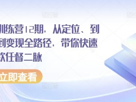 小红书训练营12期，从定位、到起号、到变现全路径，带你快速打通爆款任督二脉-天天学吧