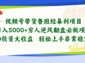 视频号带货鲁班经暴利项目，穷人逆风翻盘必做项目，0投资大收益轻松上手非常稳定【揭秘】-天天学吧