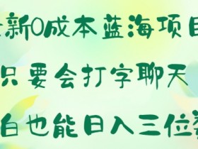 最新0成本蓝海项目 只要会打字聊天 小白也能日入一张-天天学吧