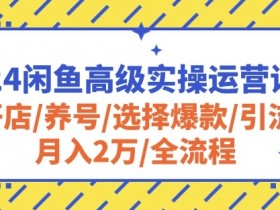 2024闲鱼高级实操运营课程：开店/养号/选择爆款/引流/月入2万/全流程-天天学吧