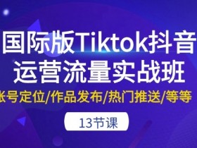 国际版Tiktok抖音运营流量实战班：账号定位/作品发布/热门推送/等等-13节-天天学吧