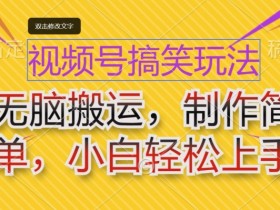 视频号搞笑玩法，无脑搬运，制作简单，小白轻松上手-天天学吧