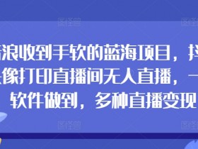 音浪收到手软的蓝海项目，抖音头像打印直播间无人直播，一个软件做到，多种直播变现-天天学吧