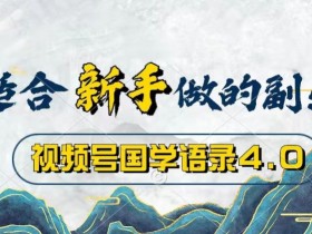 视频号国学语录4.0，撸分成计划收益，操作简单，保底月入过W-天天学吧