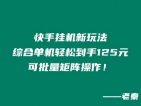 快手挂JI新玩法，综合单机也能轻松到手125元，可批量矩阵操作！-天天学吧