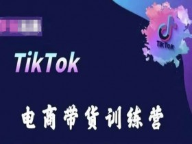 TikTok电商带货训练营，跟随时代潮流，跨境掘金-天天学吧