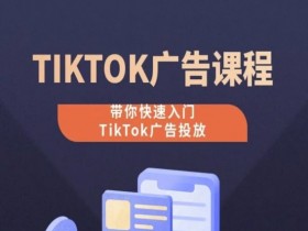 TikTok广告投放课程，从0-1实操课，带你快速入门TikTok广告投放-天天学吧