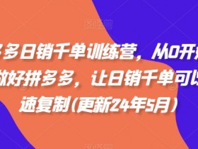 拼多多日销千单训练营，从0开始带你做好拼多多，让日销千单可以快速复制(更新24年8月)-天天学吧