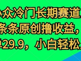 小众冷门长期赛道，条条原创撸收益，一单29.9，小白轻松上手-天天学吧