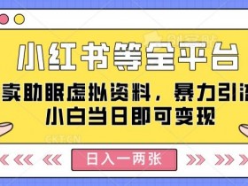 小红书等全平台卖助眠虚拟资料，暴力引流小白当日即可变现，轻松日入一两张-天天学吧