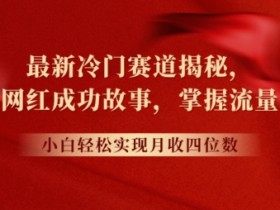 最新冷门赛道揭秘，分享网红成功故事，小白轻松掌握流量密码-天天学吧