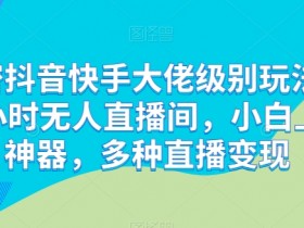 解密抖音快手大佬级别玩法，24小时无人直播间，小白上手神器，多种直播变现【揭秘】-天天学吧