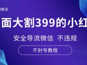 外面大割399的小红书安全导流微信 不违规 不封号教程-天天学吧