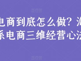 电商到底怎么做？淘系电商三维经营心法-天天学吧