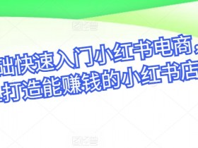 零基础快速入门小红书电商，从0-1打造能赚钱的小红书店铺-天天学吧