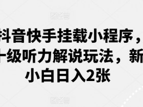 0粉抖音快手挂载小程序，中文十级听力解说玩法，新手小白日入2张-天天学吧