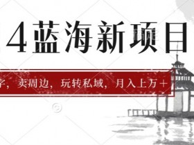 2024年蓝海项目智能AI算命，测算八字，带货月入上w+-天天学吧