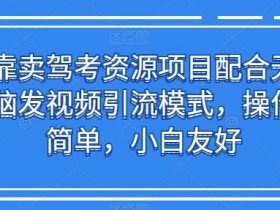 靠卖驾考资源项目配合无脑发视频引流模式，操作简单，小白友好【揭秘】-天天学吧