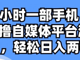 每天半小时一部手机 ，0成本无脑撸自媒体平台流量收益-天天学吧