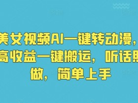 美女视频AI一键转动漫，高收益一键搬运，听话照做，简单上手-天天学吧