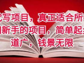 AI代写项目，真正适合所有互联网新手的项目，简单起步渠道广，钱景无限-天天学吧