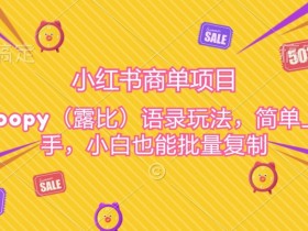 小红书商单项目，loopy玩法，简单上手，小白也能批量复制-天天学吧