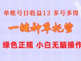 一键种草托管 单账号15分钟13元  10个账号一天130  绿色稳定 可无限推广-天天学吧