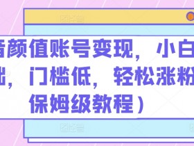 抖音颜值账号变现，小白0基础，门槛低，​轻松涨粉(保姆级教程)【揭秘】-天天学吧