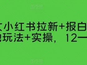 推文小红书拉新+报白，落地玩法+实操，12一单-天天学吧