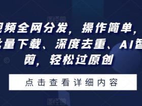 一个视频全网分发，操作简单，一款软件批量下载、深度去重、AI智能混剪，轻松过原创-天天学吧