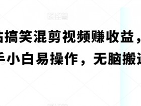 B站搞笑混剪视频赚收益，新手小白易操作，无脑搬运-天天学吧