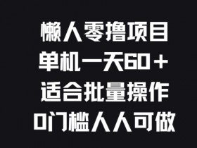 懒人零撸项目，单机一天60+适合批量操作，0门槛人人可做-天天学吧