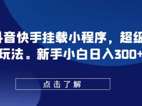 0粉抖音快手挂载小程序，超级变脸玩法，新手小白日入300+【揭秘】-天天学吧